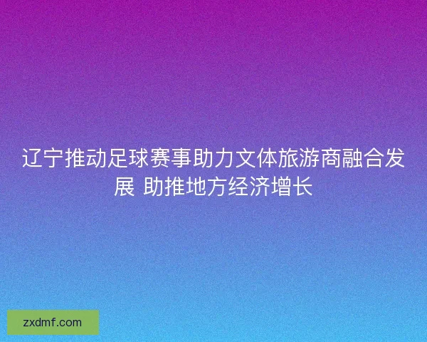 辽宁推动足球赛事助力文体旅游商融合发展 助推地方经济增长 辽宁推动足球赛事助力文体旅游商融合发展 助推地方经济增长